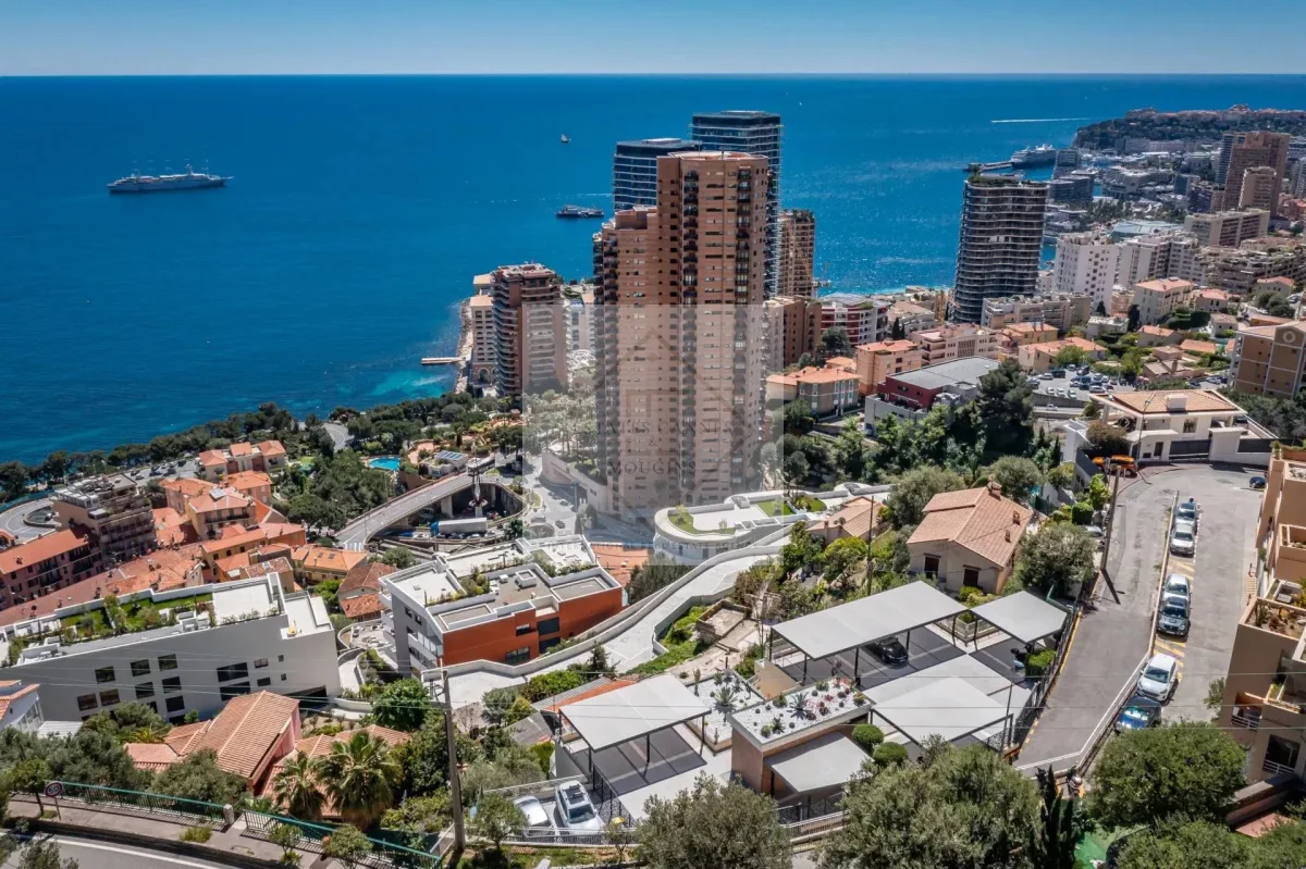 Luxury Apartment with Panoramic Sea Views over Monaco — 2