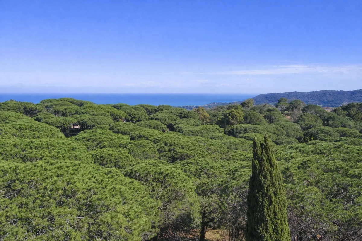 Prestigious Sea View Estate for Sale in Ramatuelle — 3
