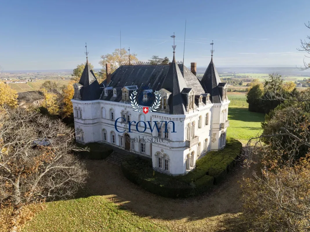 Exceptional Neo-Renaissance Château in the Heart of Beaujolais — 4