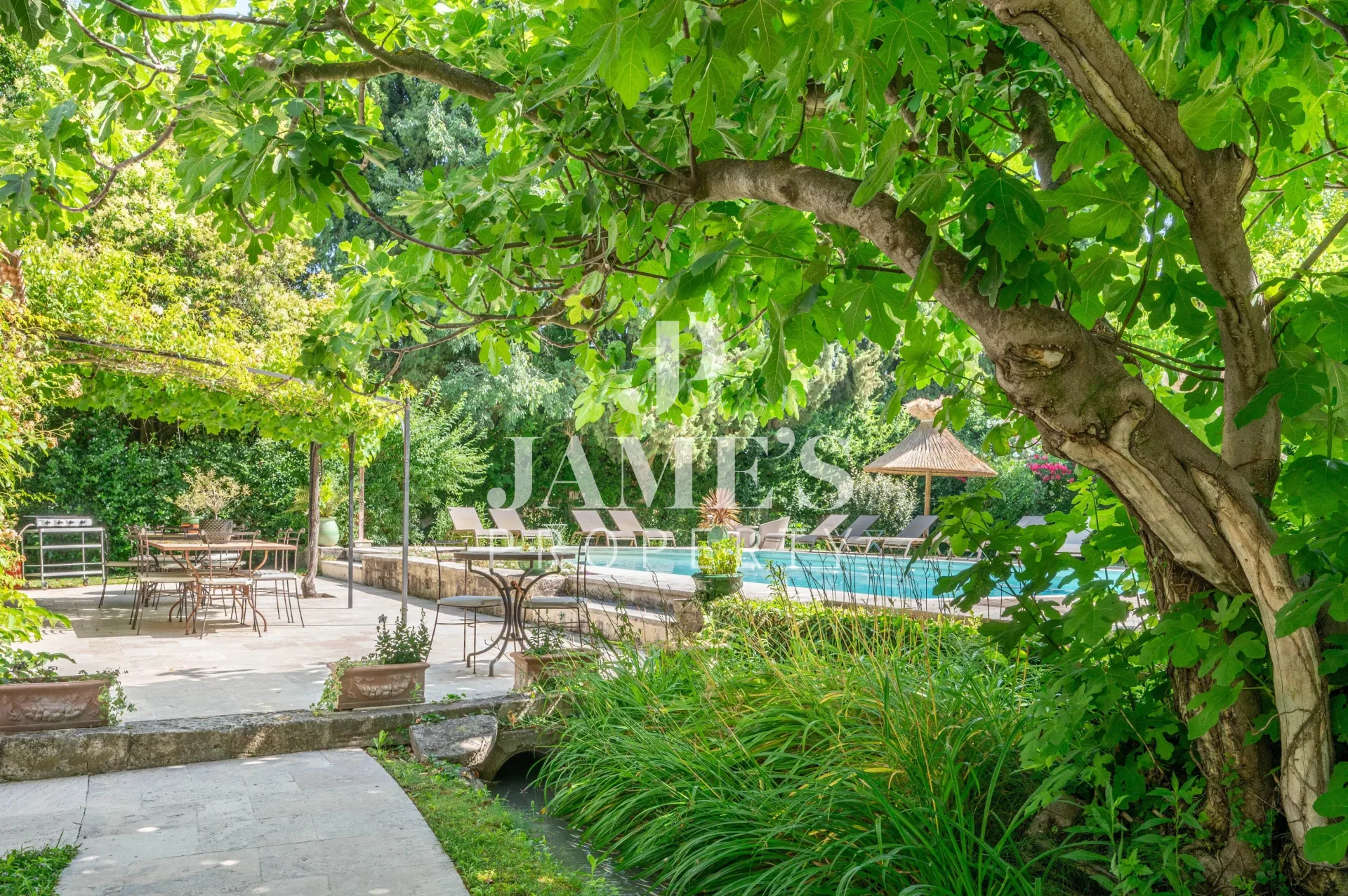 Luxury Provençal Property in Saint-Rémy-de-Provence — 1
